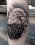 Camill_mementotattoo_eagle_realistisk.jpg