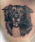 Camilla_memento_tattoo_dog_border_collie.jpg