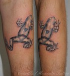 Camilla_memento_tattoo_frog.jpg