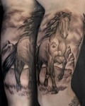 Camilla_mementotattoo_hest.jpg