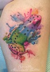 Camilla_watercolour_frog_colour_frosk_farge_akvarell.jpg