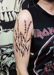 Kaja_lavendel_memento_tattoo_blomst.jpg