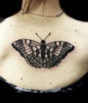 Kaja_memento_tattoo_Sommerfugl_dotwork.jpg
