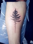 Kaja_memento_tattoo_dotwork_tre.jpg